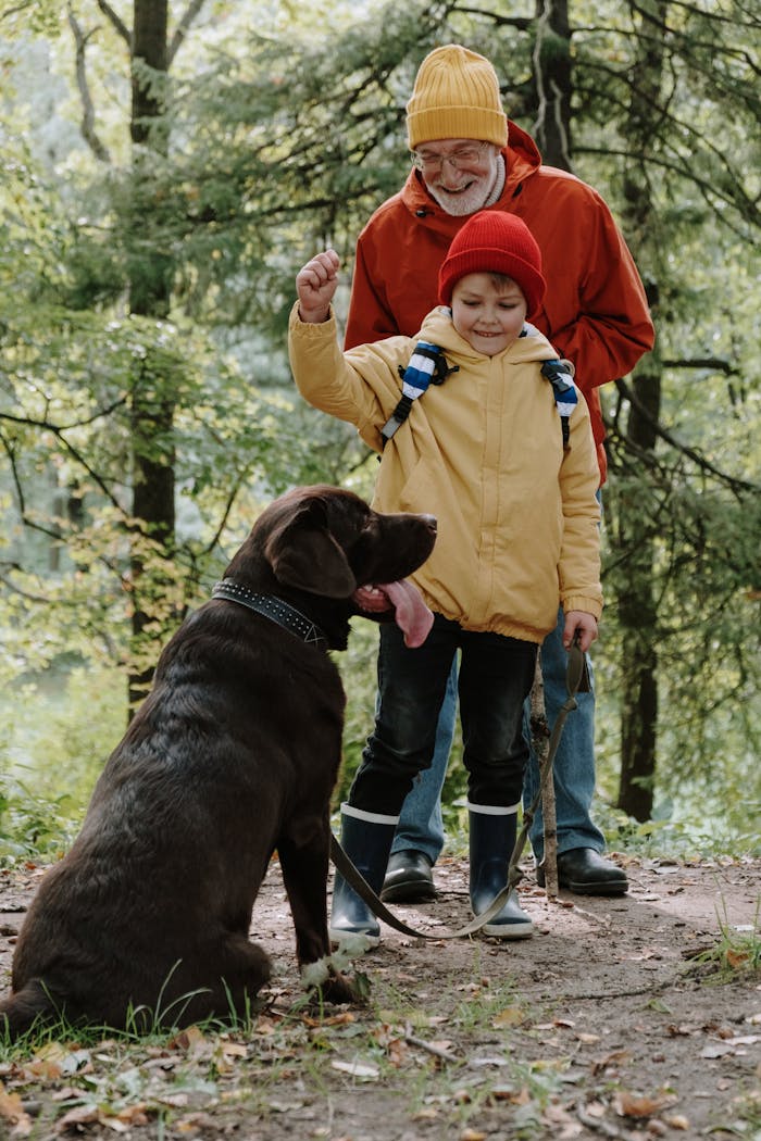 Elderly man and child with Labrador retriever enjoying a day in the woods.